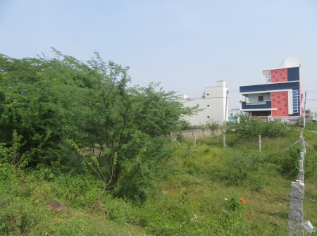 2) Li Id : 186 - Pic 3.JPG
